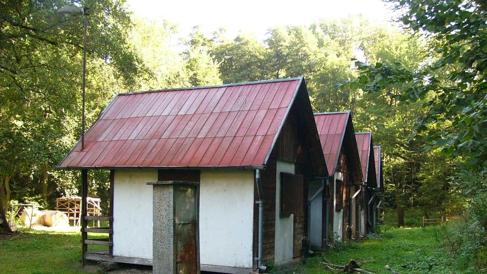 Prodej majetku - mlýn Pášov - 3