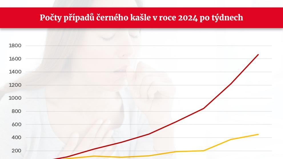 GRAF Černý kašel v roce 2024