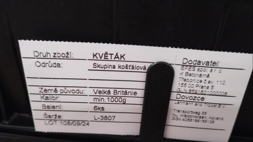Zdraví nebezpečný květák z Penny Marketu