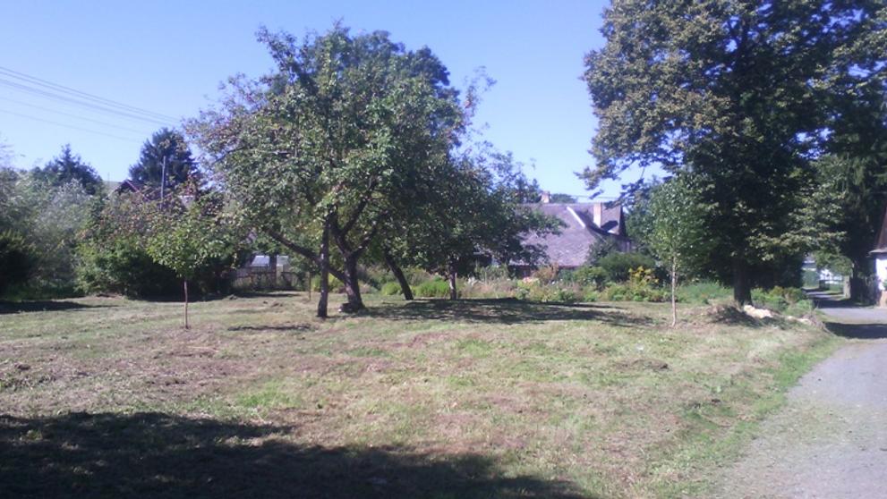 Domy, které nabízí stát - Hradec Králové - 1