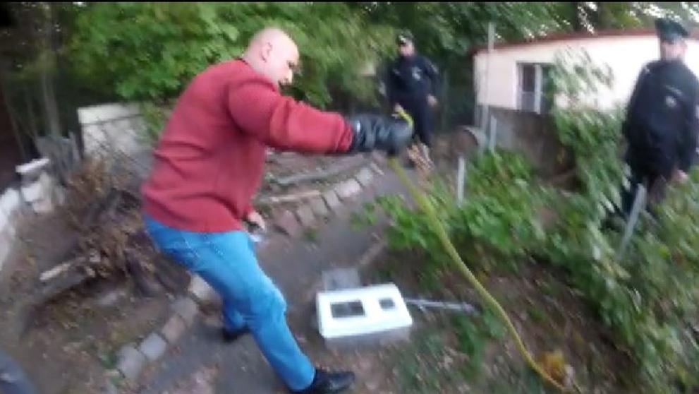 Odchyt mamby zelené v zahrádkářské kolonii - 1