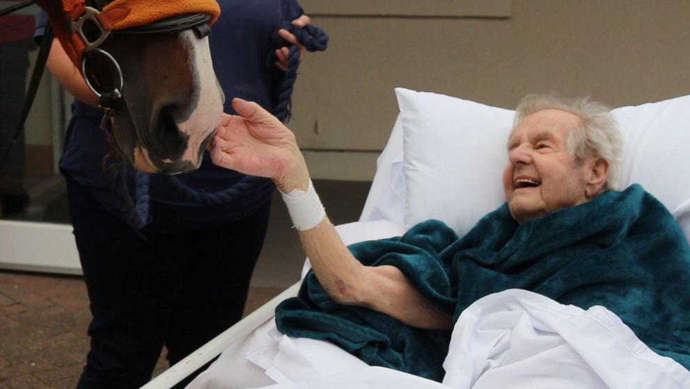 Muže v hospici potěšila návštěva koně - 4