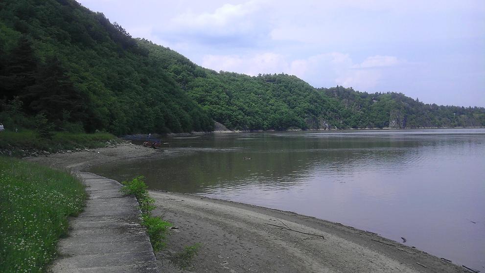 Slapská přehrada - ryby - 10