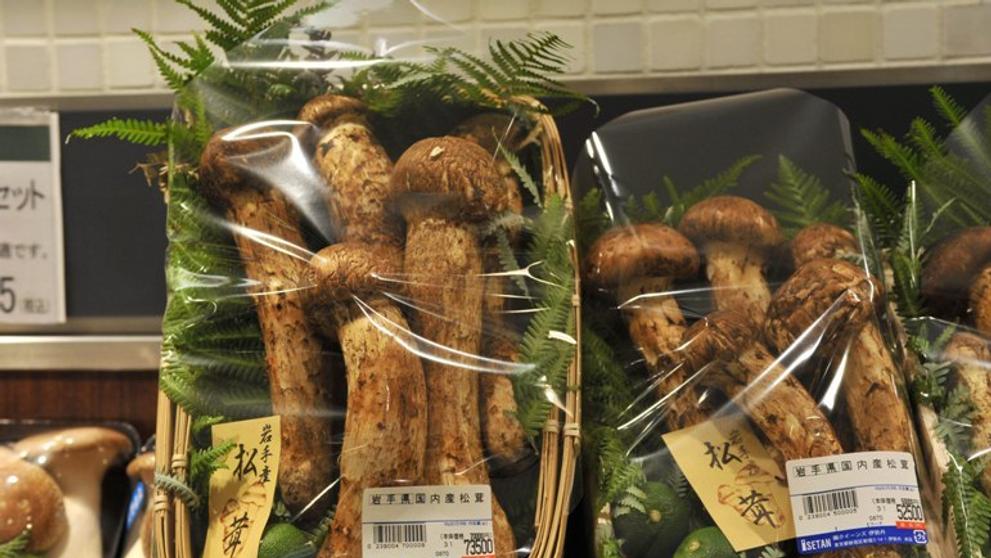 Houby Matsutake - 2
