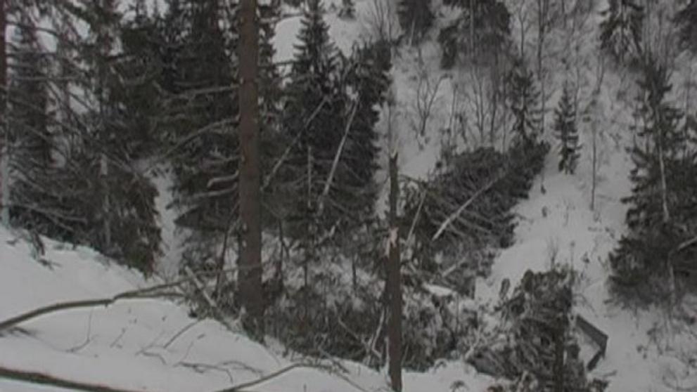 Lavina Tatry
