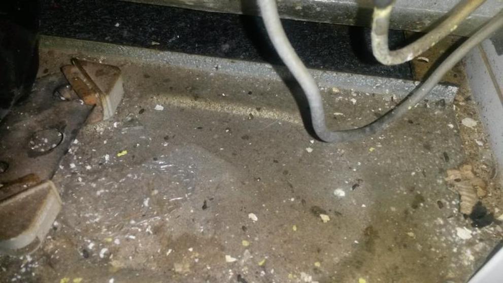 Uzavřené provozovny: Restaurace Barakuda - Kralupy nad Vltavou - 2
