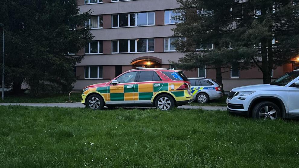 Policie na místě činu (3)