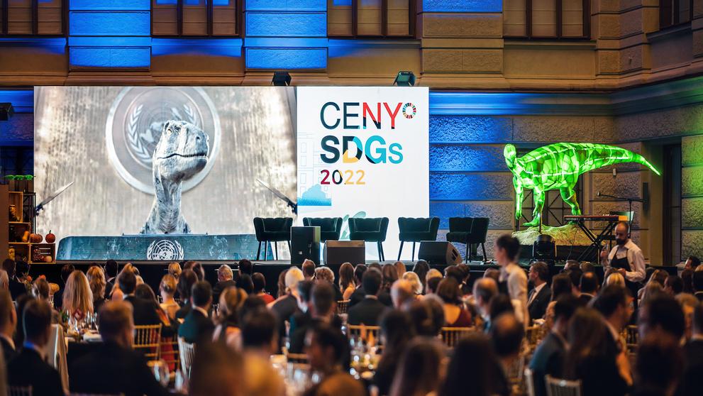 Ceny SDGs