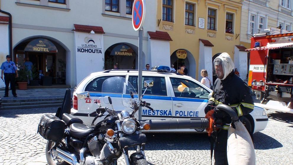 Včely obsadily v Kroměříži motocykl