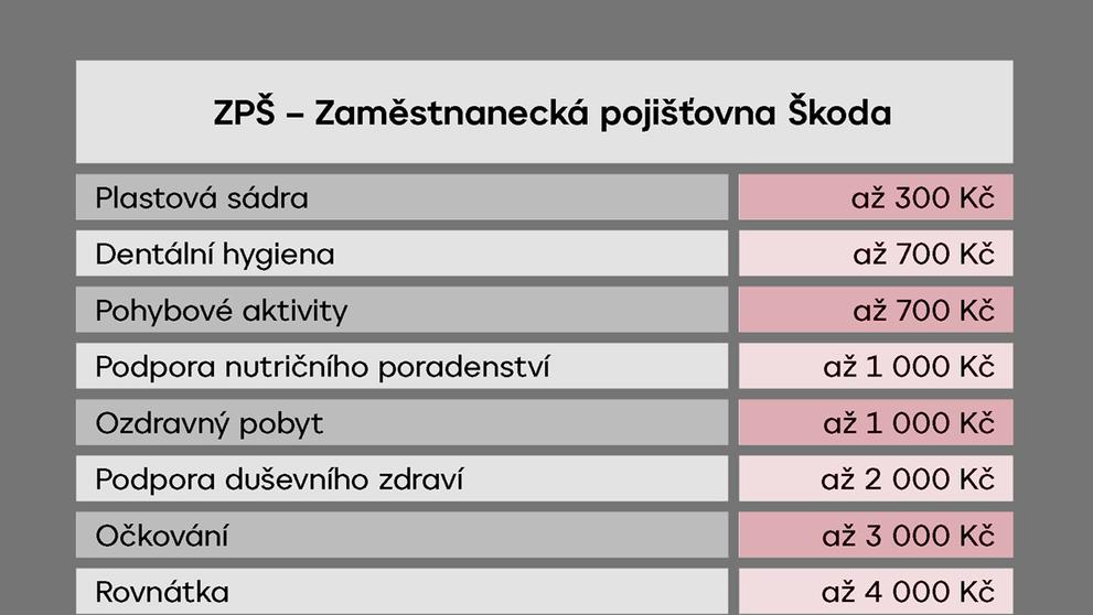 TABULKA ZPŠ