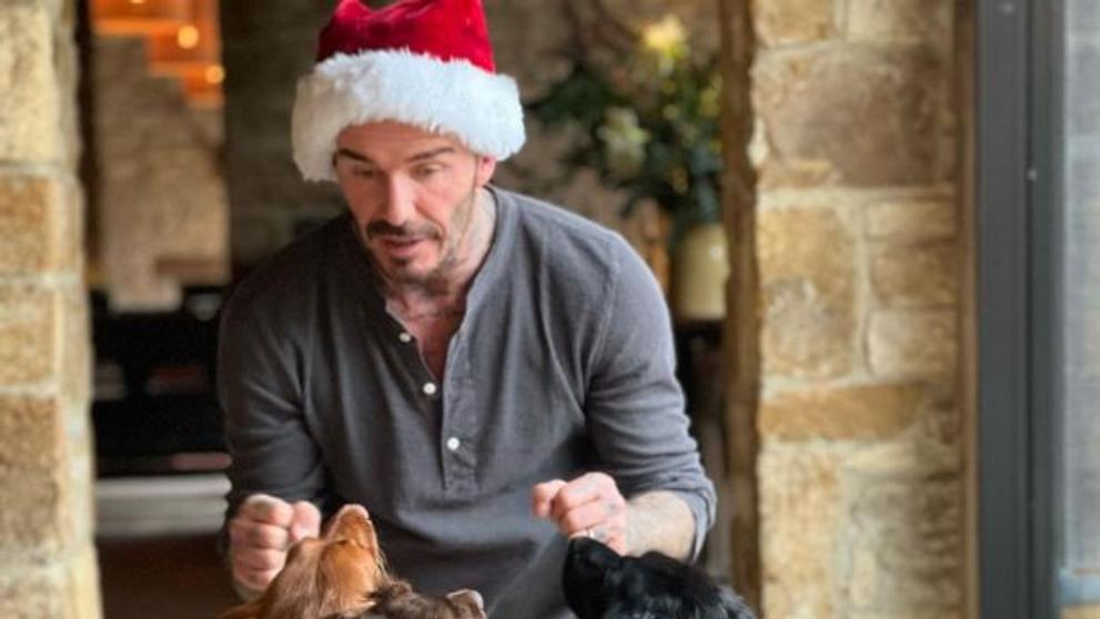 Beckham se psy