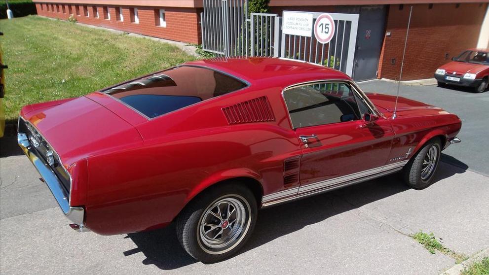 Mustang - 10