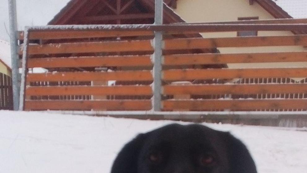 Zima 5.1.2017 - 14