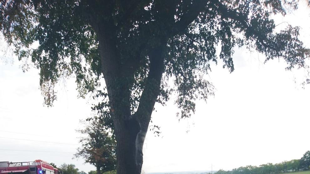 Tragická dopravní nehoda mezi obcemi Drahonice – Cehnice - 2