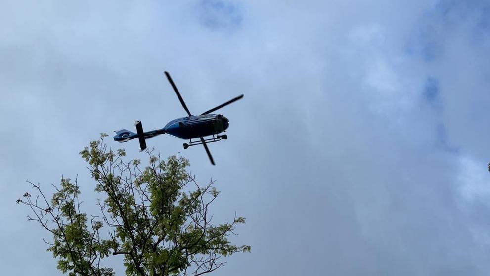 Policisté u Dolních Břežan u Prahy hledají medvěda - 6