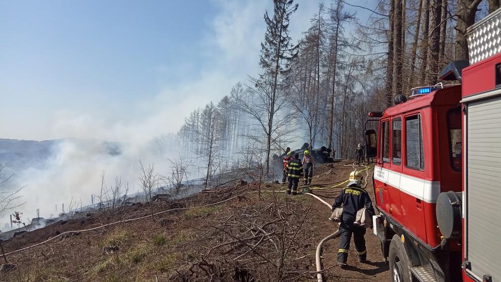 Požár lesního porostu v Hošticích nad Labem - 1