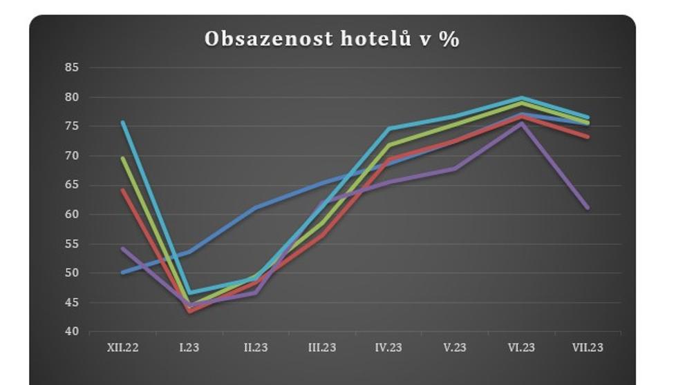 Obsazenost hotelů v procentech