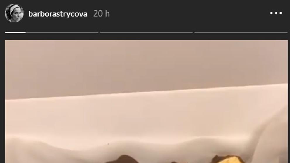 Vánoce - Barbora Strýcová