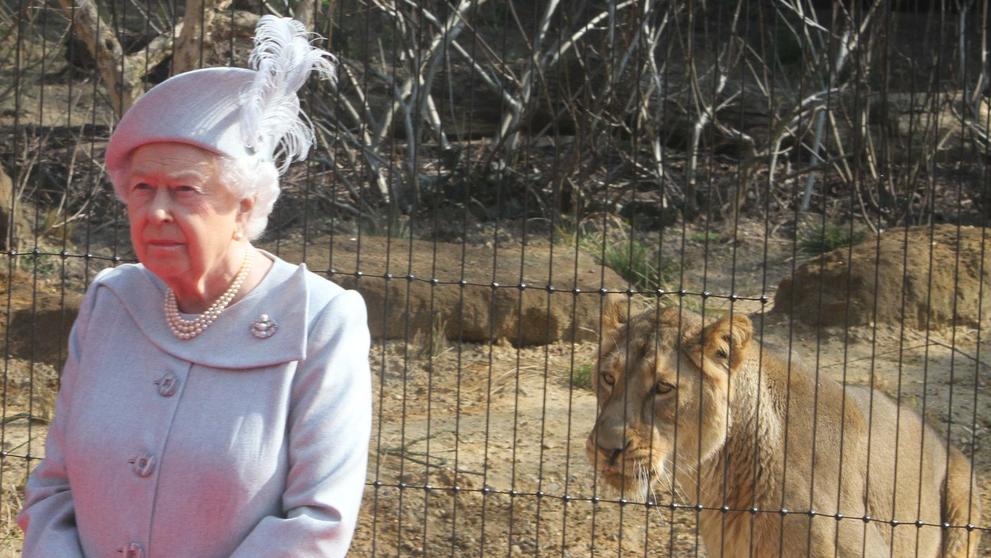 Zajímavé fotografie ze života královny Alžběty II. - Královna Alžběta v Londýnské ZOO