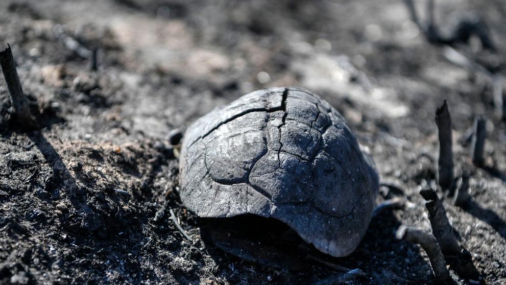 Následky požáru v Řecku, 27. 7. 2023 Korfu