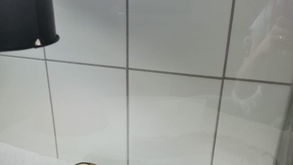 Krajta královská (1)