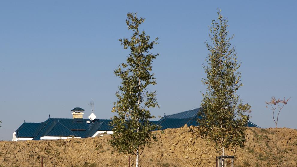 Pitrova vila v Jesenici