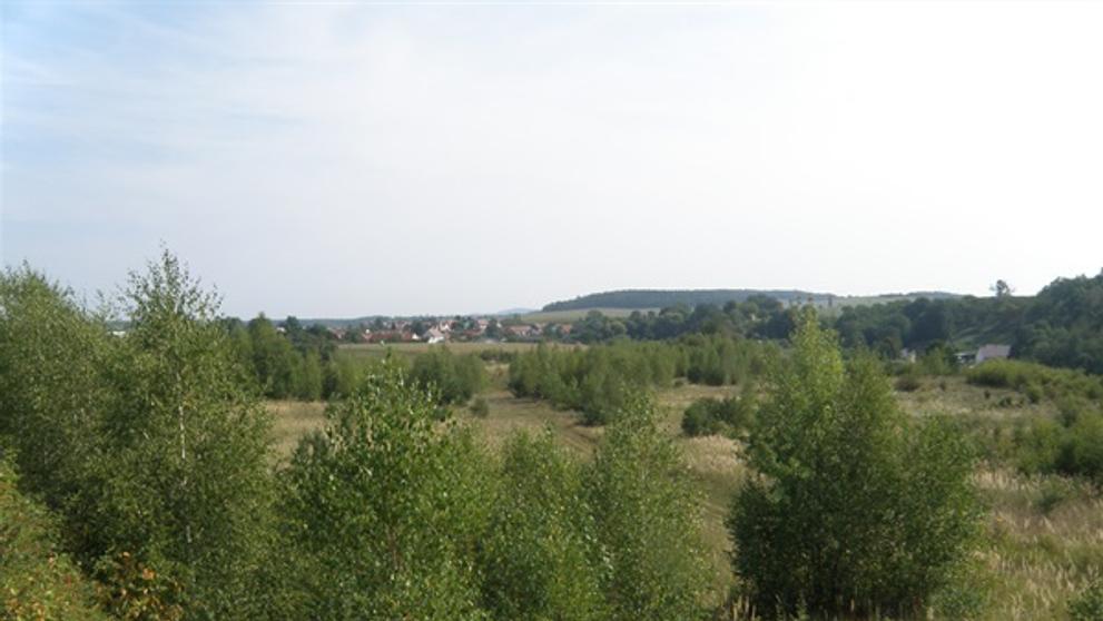 Zničený biotop - 2