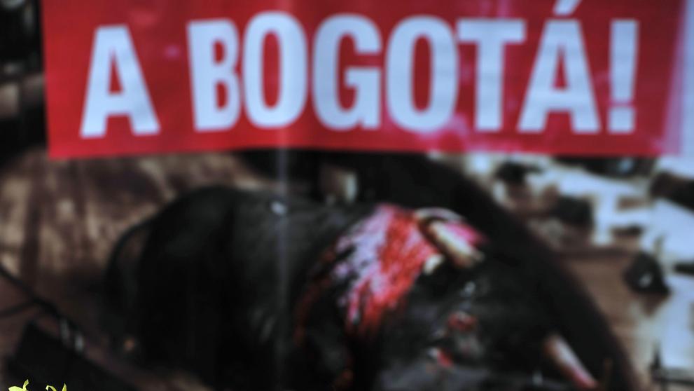 Polonahé zakrvácené aktivistky protestovaly proti býčím zápasům - 9