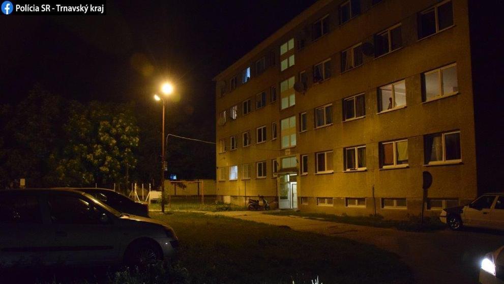 Žena z Trnavy vyhodila štěňátko z okna - 3