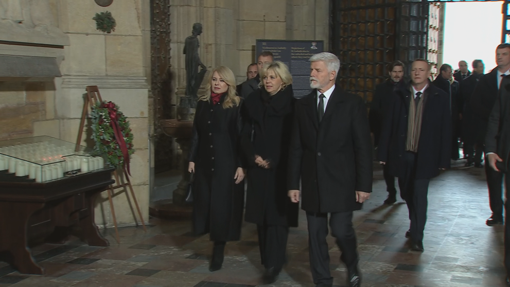 Zuzana Čaputová, Eva Pavlová, Petr Pavel