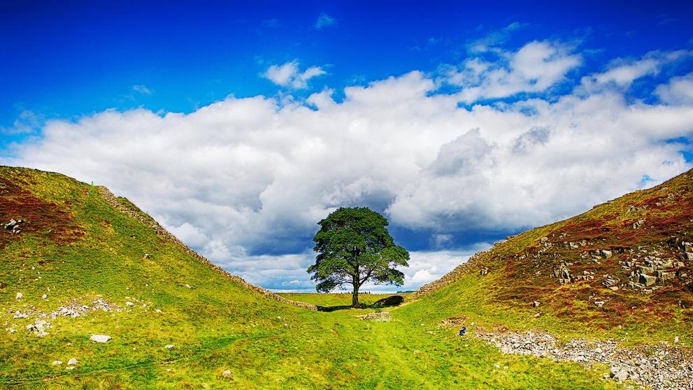 Sycamore Gap