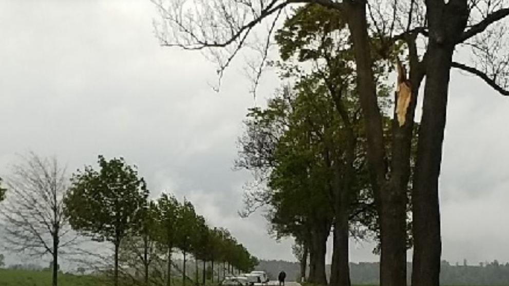 Hasiči vyjížděli k následkům bouře a větru - 1