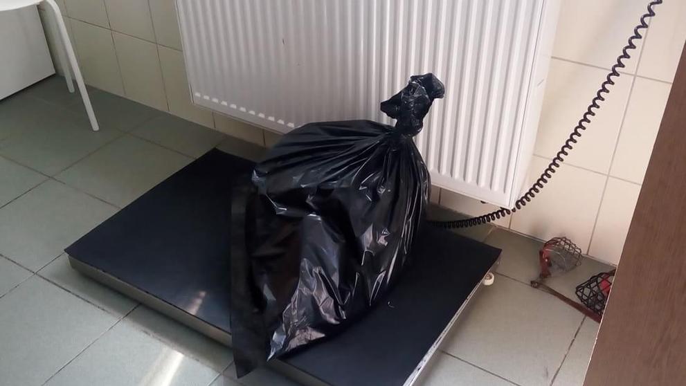 Psa měl někdo vyhodit z okna - 4