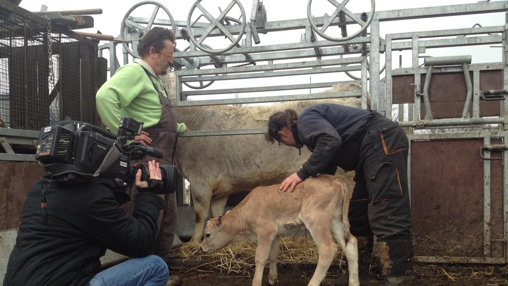 Víkendkové prázdniny na farmě - Jako prase v žitě - 3