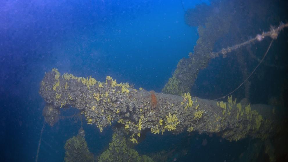 HMS Triumph (2)