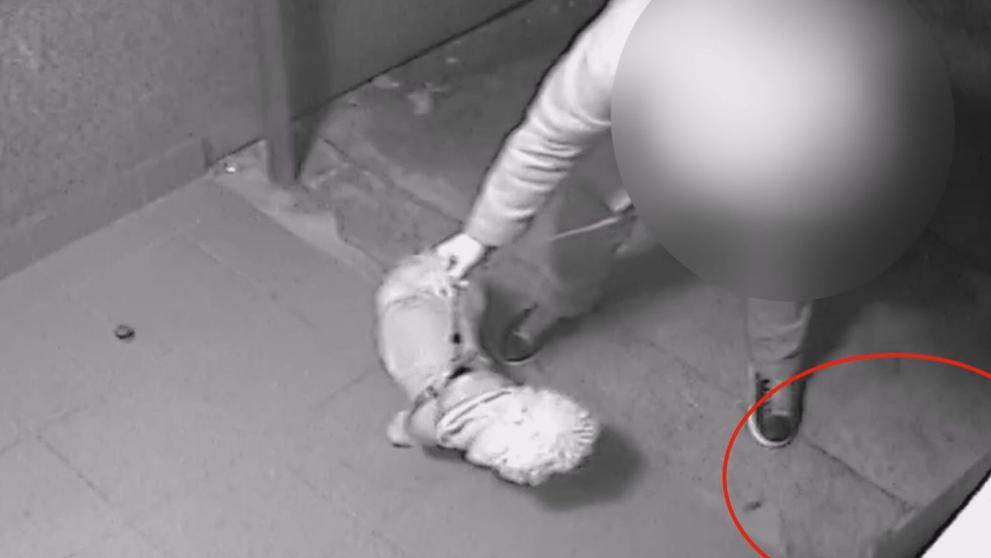 Tímto způsobem muž rozhazoval otrávené pamlsky pro psy, vadil mu štěkot psů