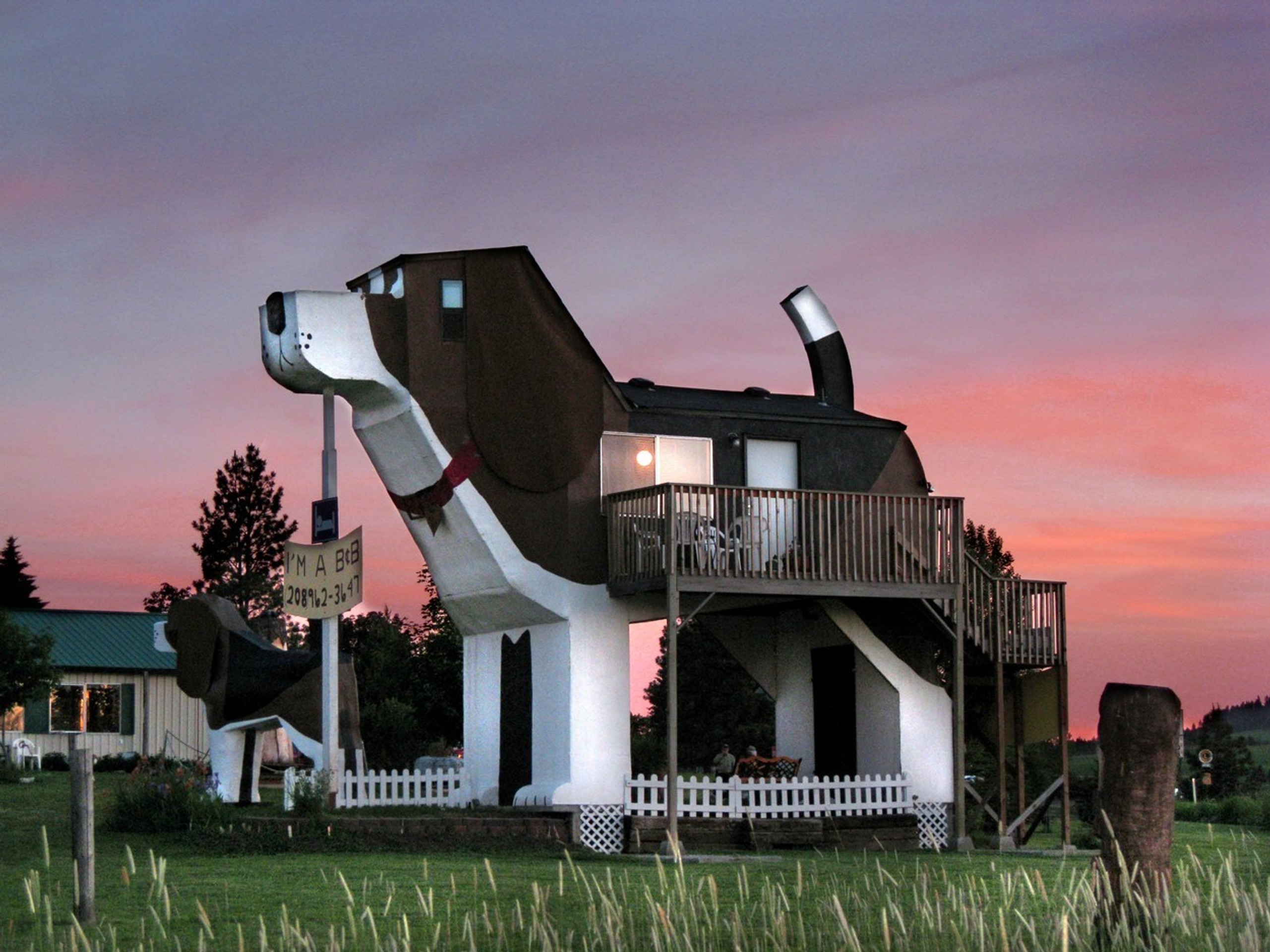 Домой глупая. Гостиница Dog Bark Park Inn. Dog Bark Park Inn, Айдахо, США. США Айдахо Коттонвуд. Отель Dog Bark Park Inn фото.