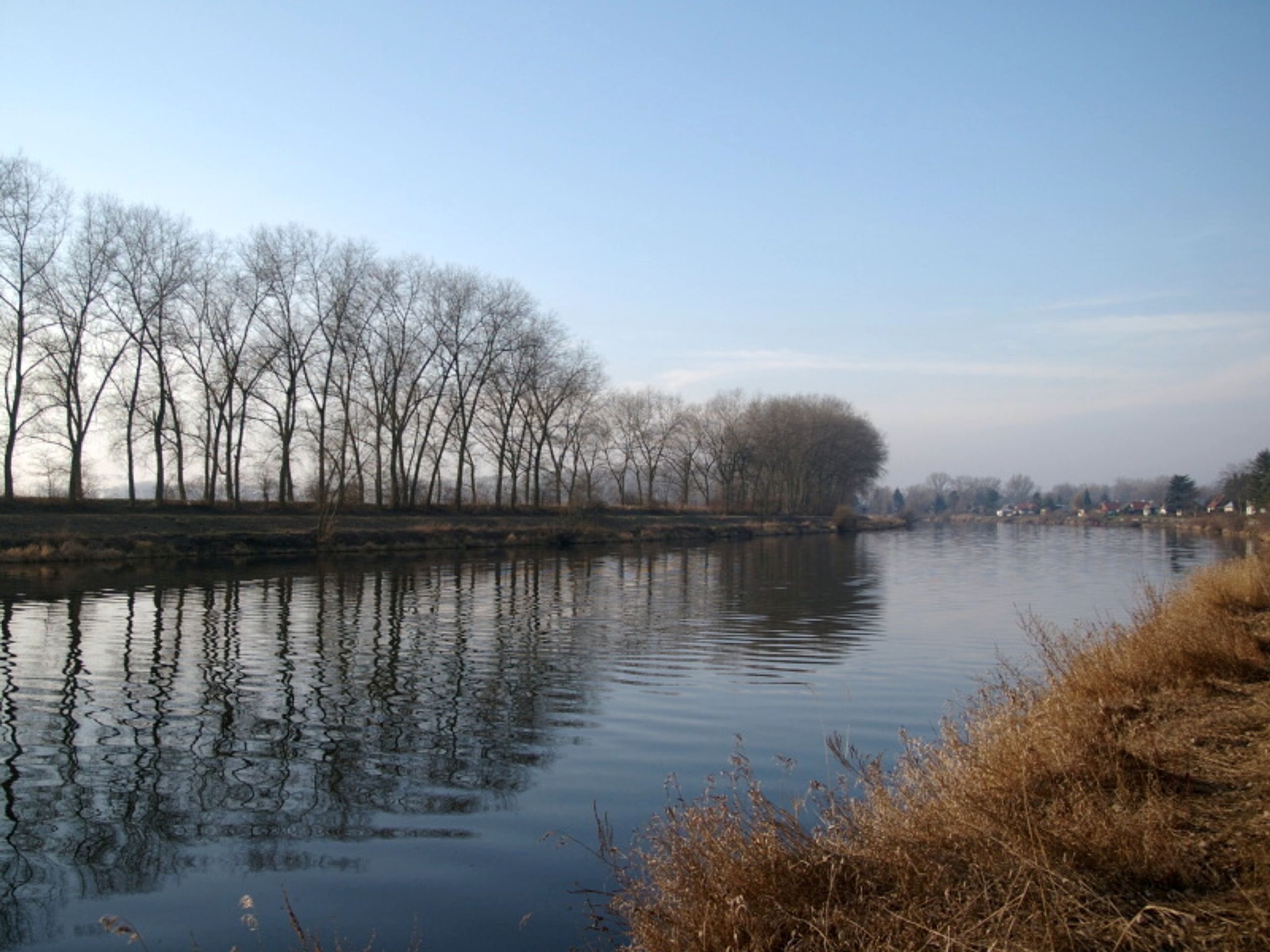 Labe, Ostrá - GALERIE Labe (4/6)