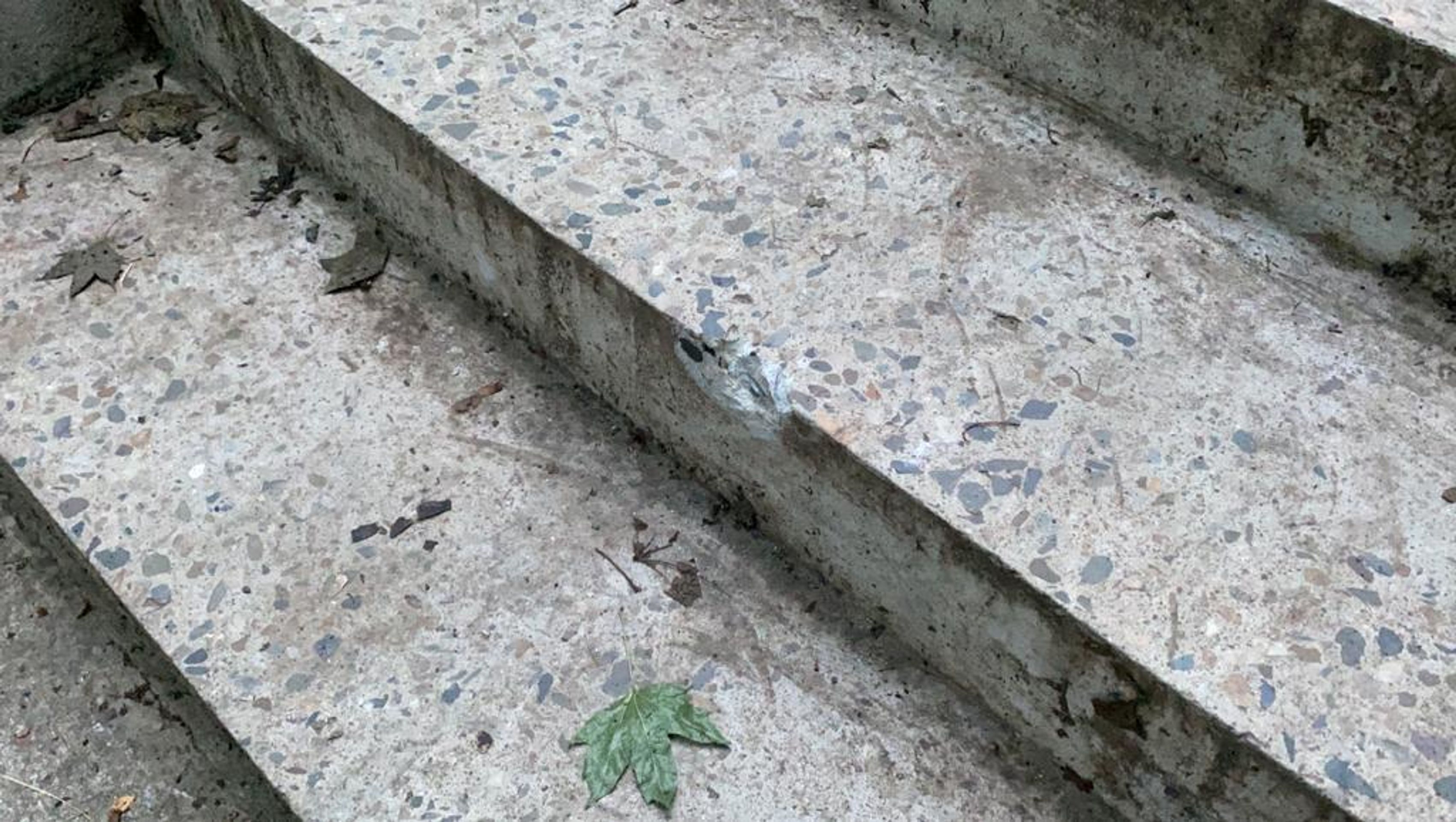 Záchrana zraněného cyklisty - 9 - GALERIE: Cyklista sjížděl schody, při pádu se vážně zranil (9/15)