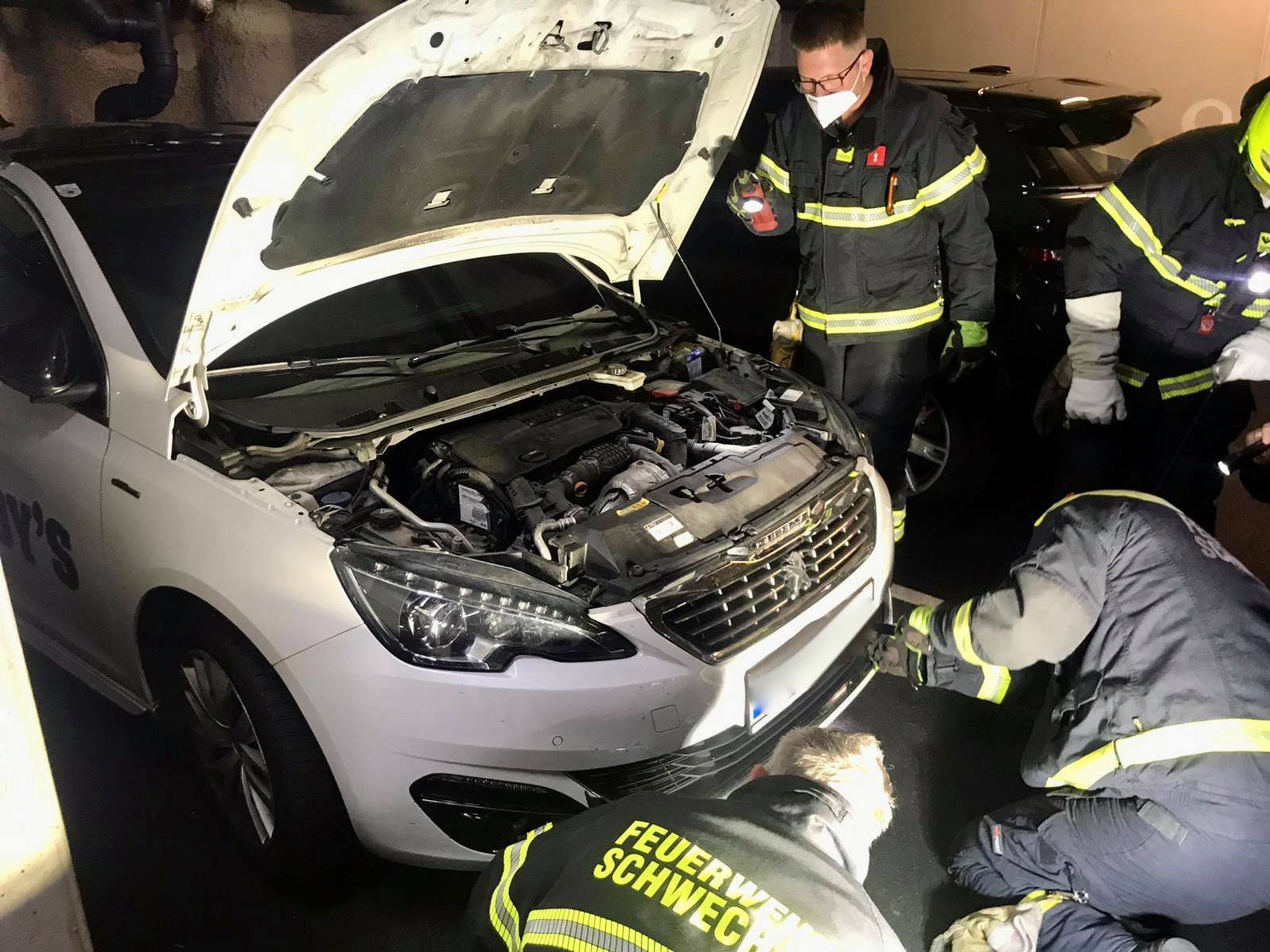 Had v autě - 16 - Fotogalerie: Hasiči rozebrali rodině auto, kvůli užovce (3/7)