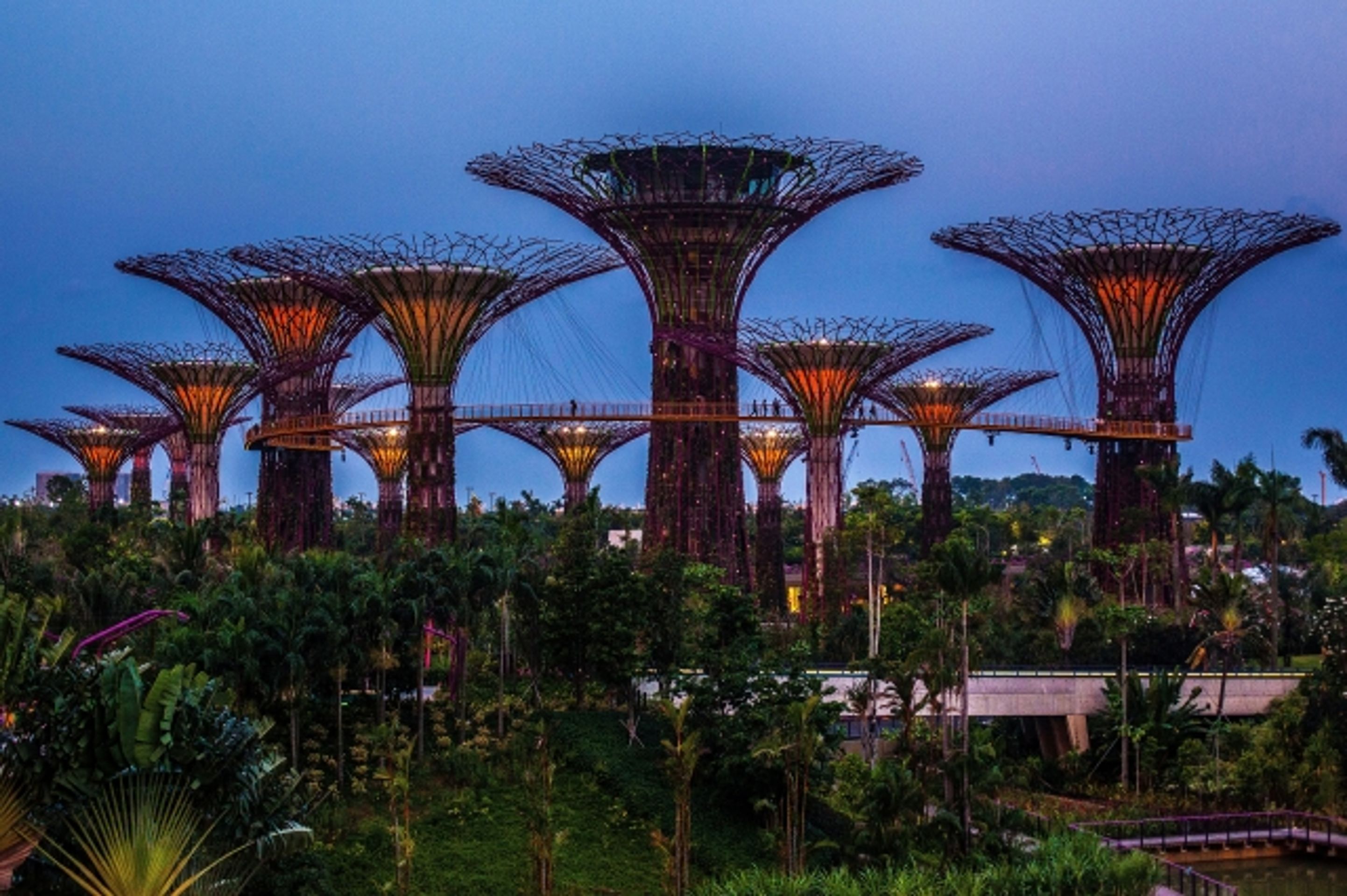 Marina Bay Sands 5 - Zahrada budoucnosti v Singapuru (5/6)