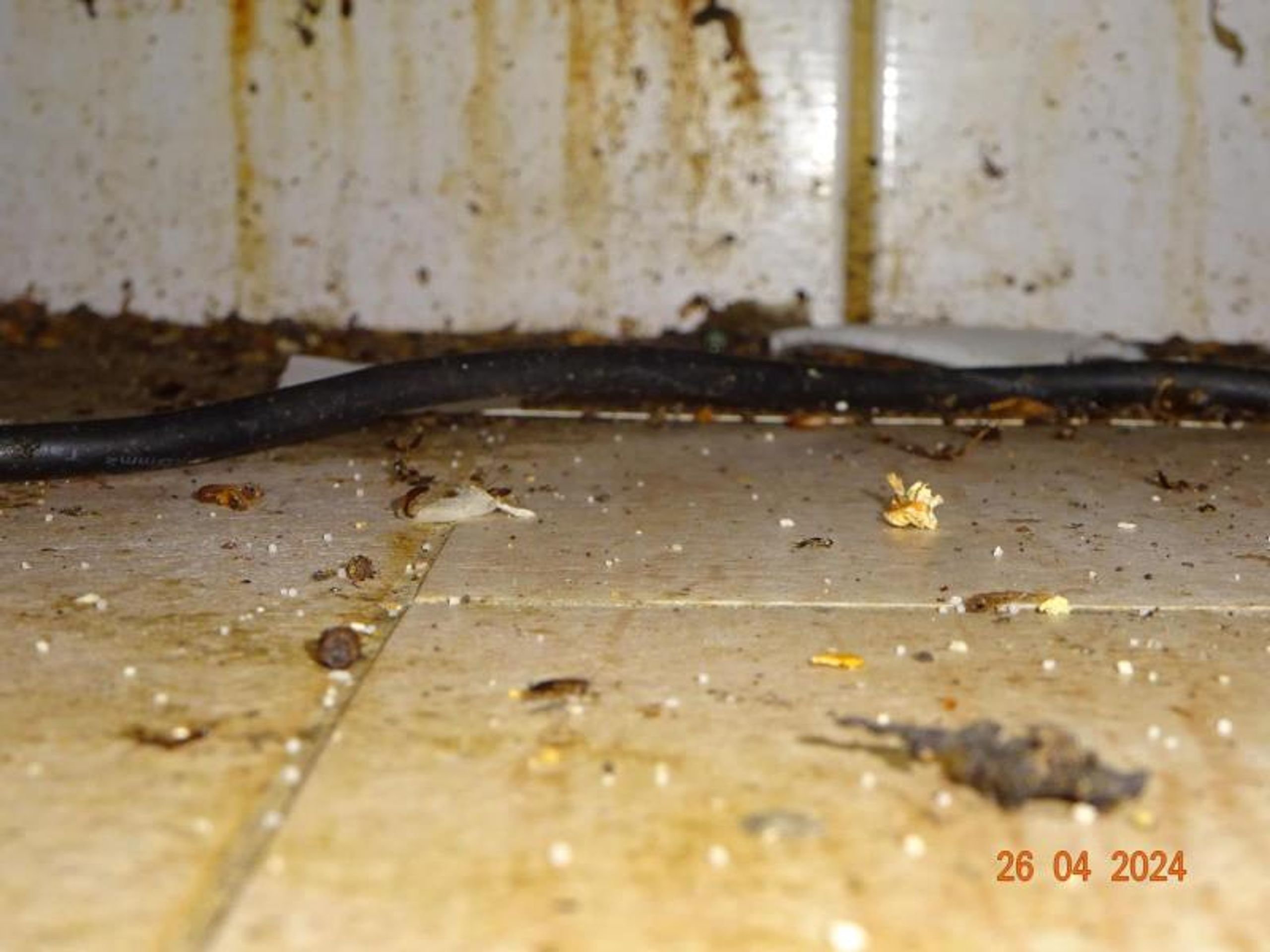 Uzavřená Pizzerie Maškovka (8) - Uzavřená Pizzerie Maškovka (14/25)