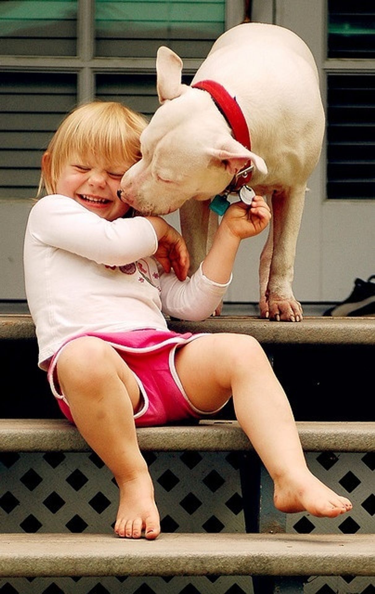 Psi a děti jsou nerozluční kamarádi - 4 - GALERIE: Přátelství mezi psem a dítětem (4/10)