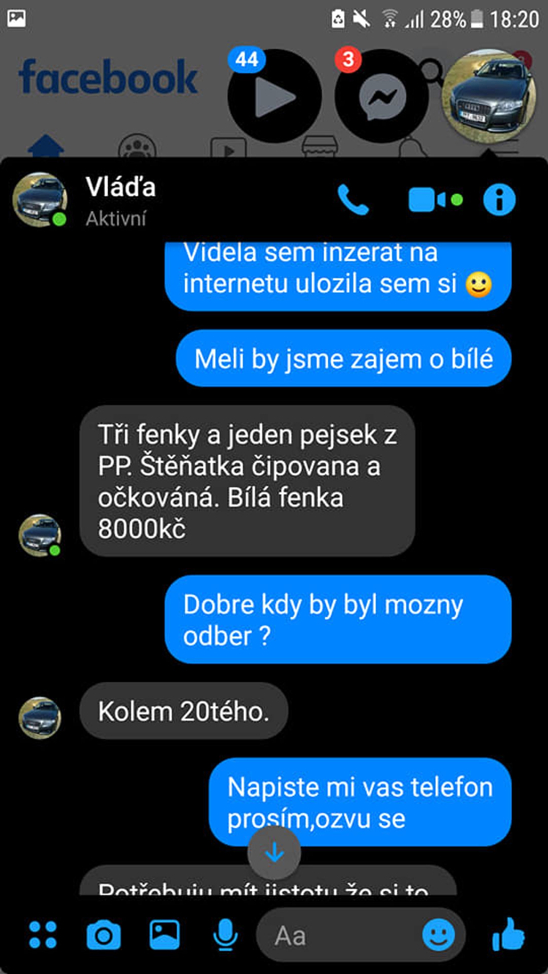 Chtěla koupit štěně - on žádal sex - GALERIE: Chtěla koupit štěně, podvodník žádal sex (2/4)