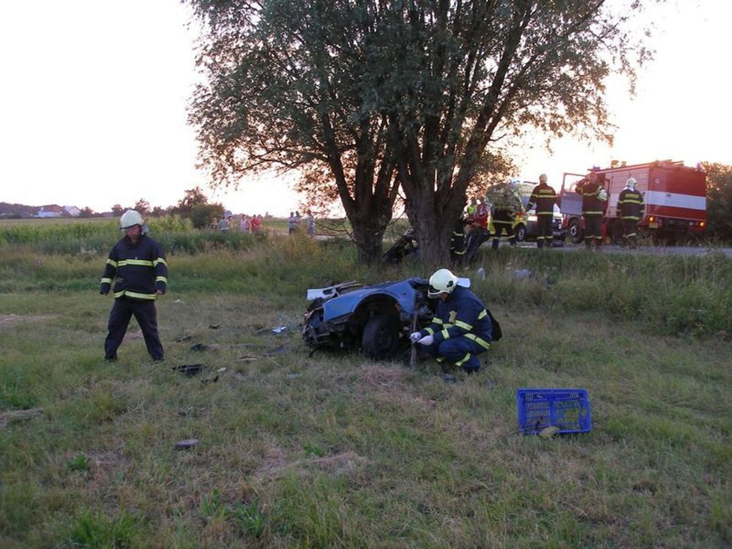 Řidič naboural do stromu - GALERIE: Auto se rozpůlilo o strom (6/9)