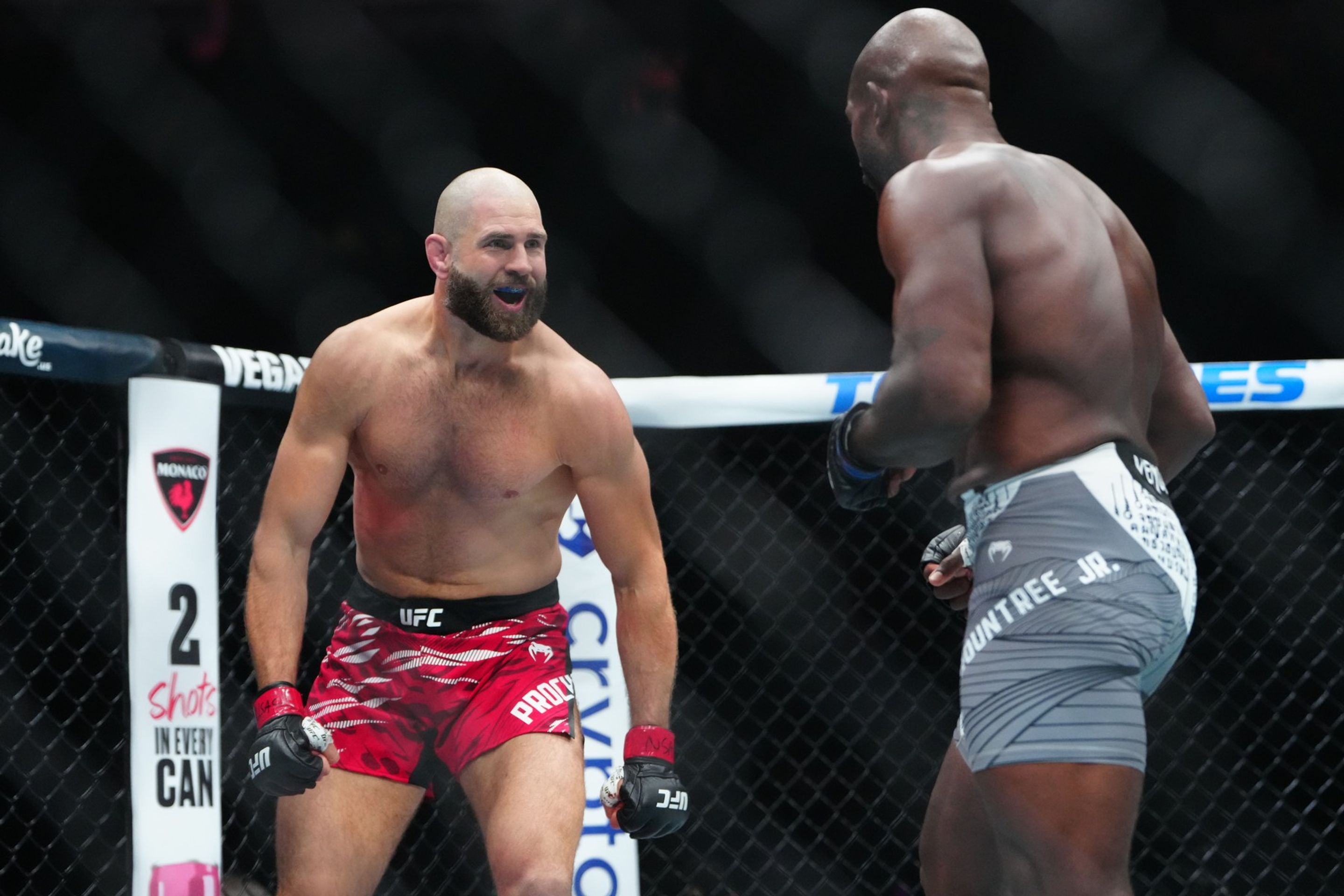 Jiří Procházka porazil Khalila Rountreeho - Jiří Procházka v UFC porazil Khalila Rountreeho (5/9)