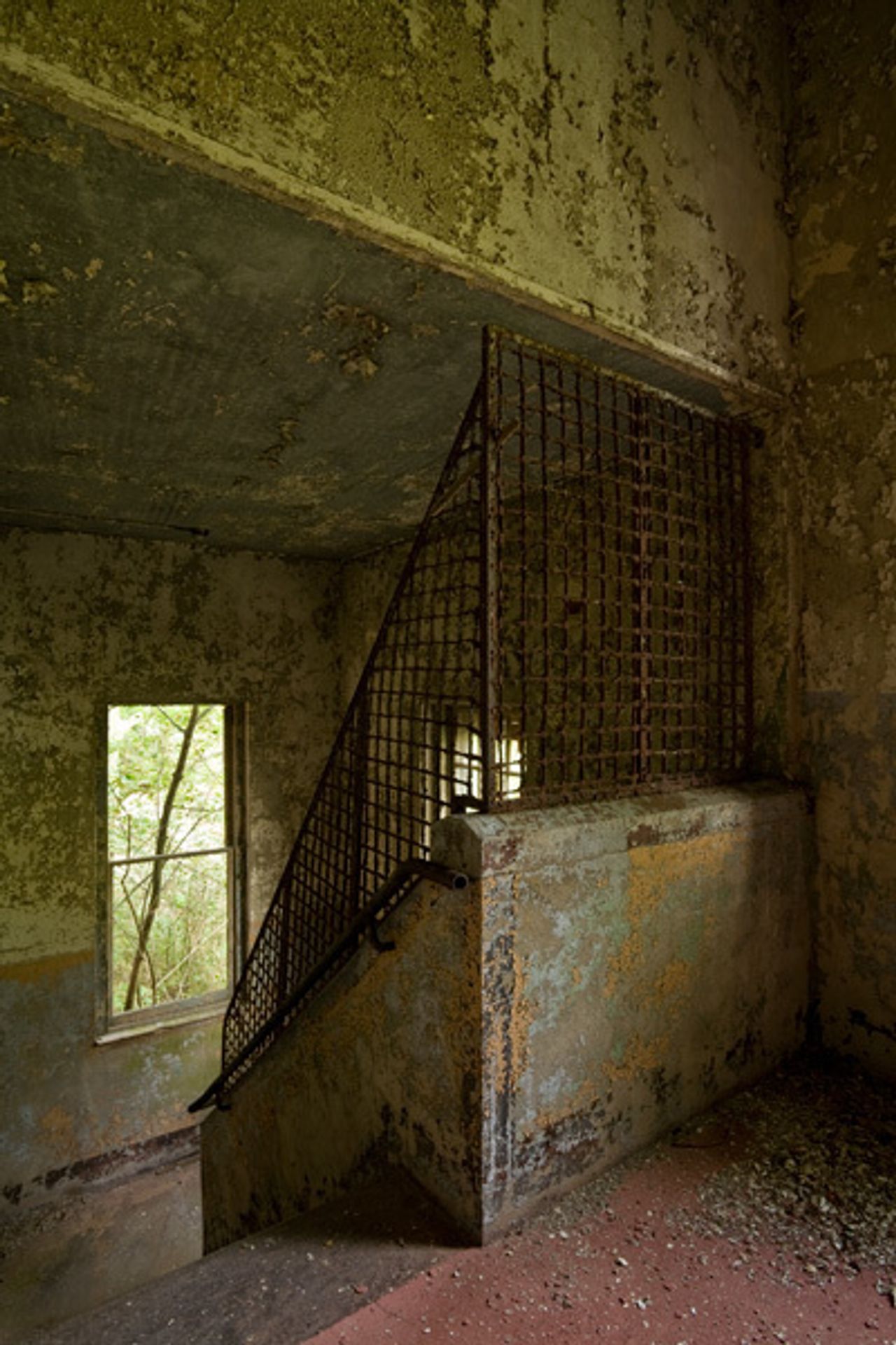 Hart Island - ostrov mrtvých - 9 - Galerie: Hart Island - ostrov mrtvých (16/24)