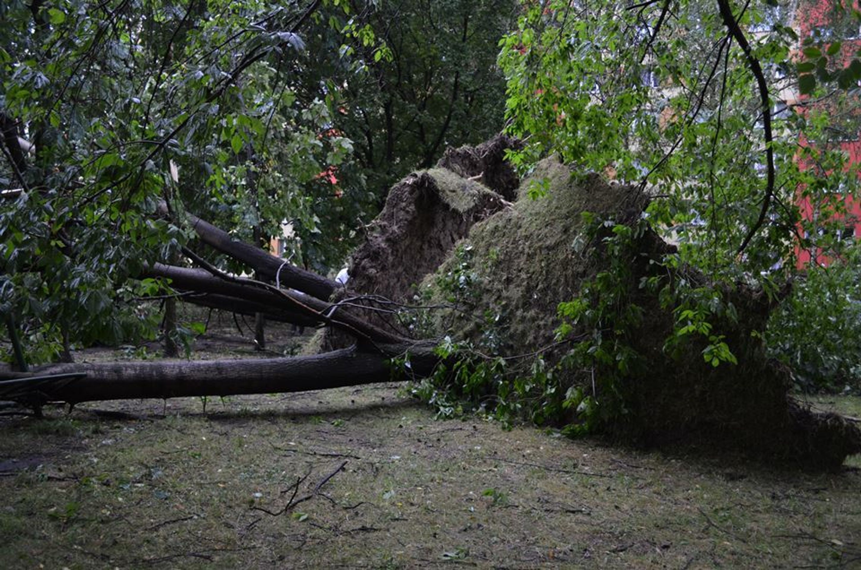 Následky bouřky v Karviné - 8 - GALERIE: Následky bouřky v Karviné (8/19)