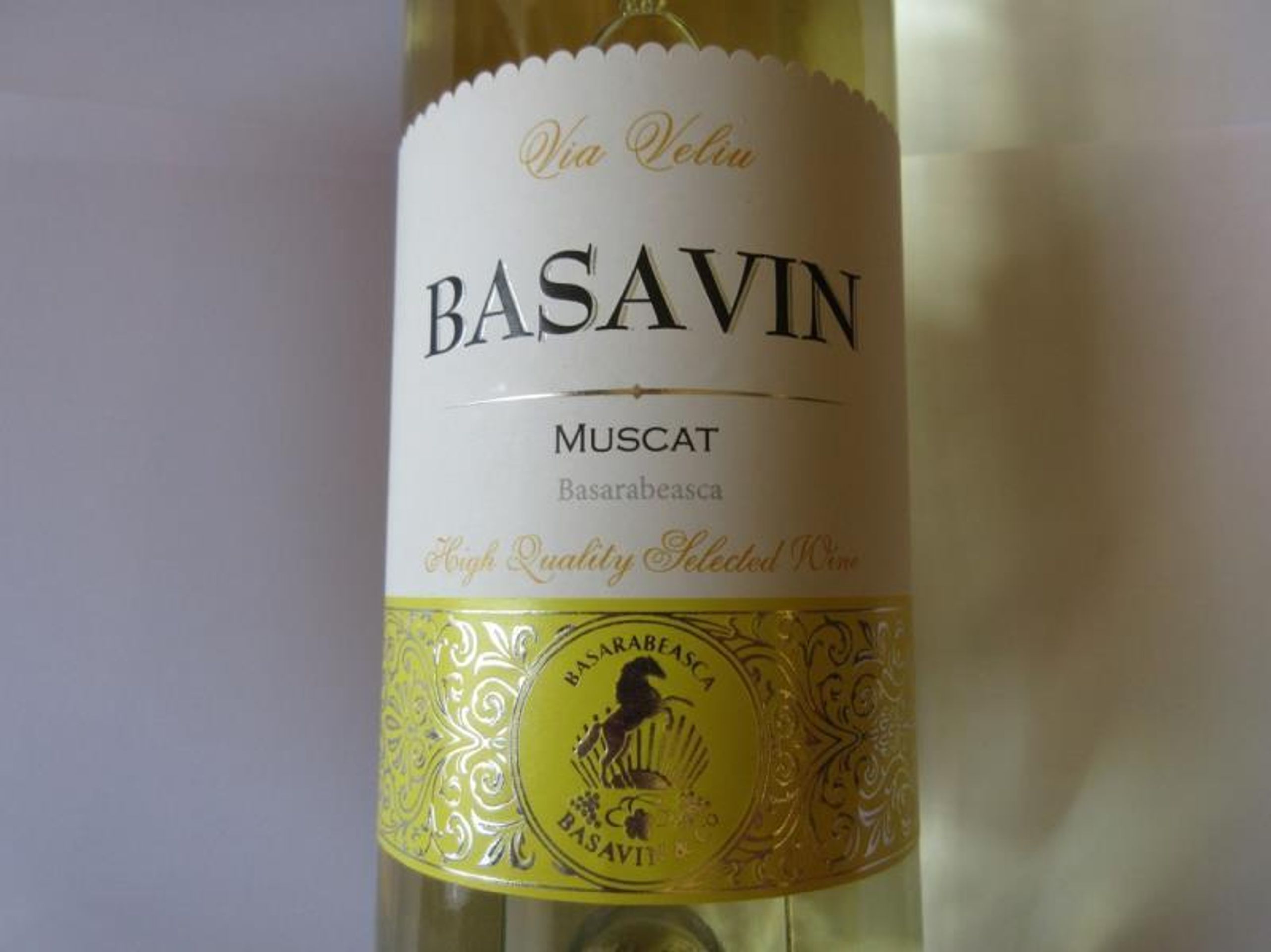MUSCAT 2013 - 2 - GALERIE: Závadná vína (4/23)