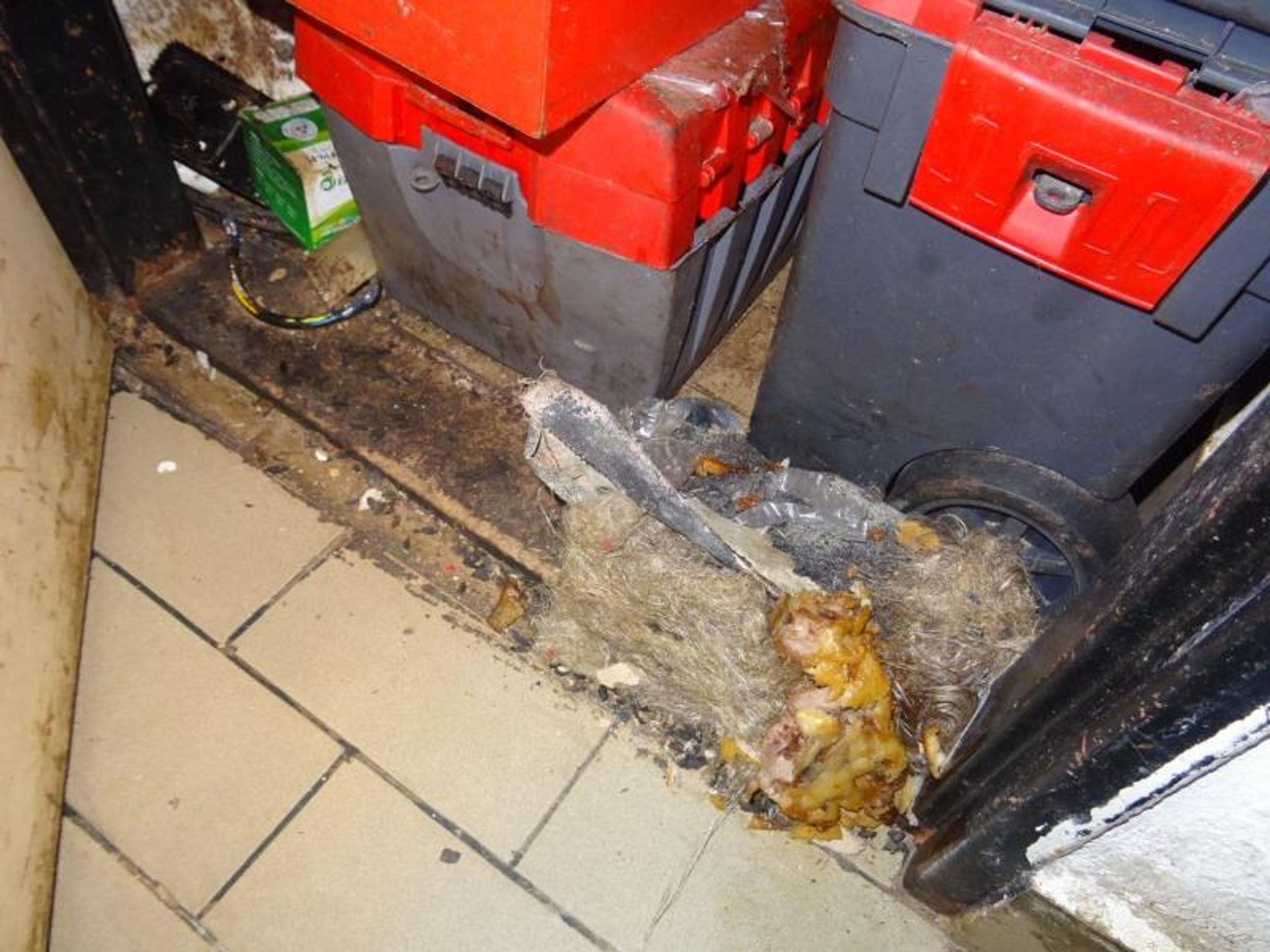 Čínská restaurace Shang Hai - Provozovny uzavřené v letošním roce (250/256)